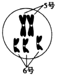 图片_x0020_783181386