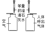 图片_x0020_100013
