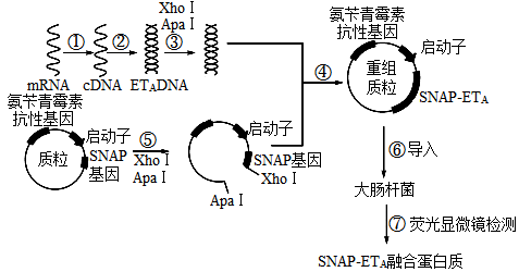 图片_x0020_481706671
