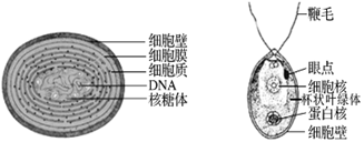 图片_x0020_100001