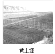 图片_x0020_100006