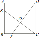 图片_x0020_883313762