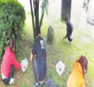 图片_x0020_8