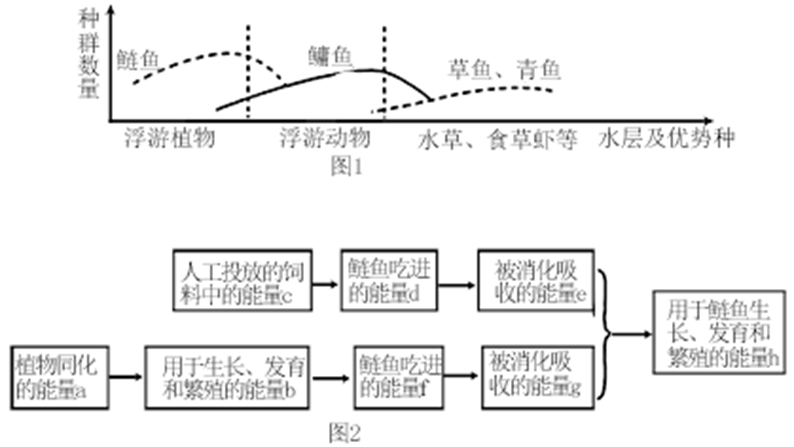 图片_x0020_1863186461