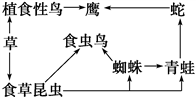 图片_x0020_1020579997