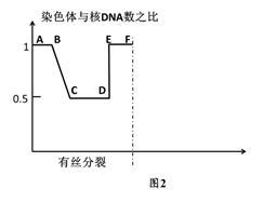 图片_x0020_100017