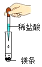图片_x0020_100004