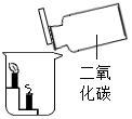 图片_x0020_100004