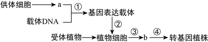 图片_x0020_585892321