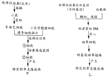图片_x0020_1794184828