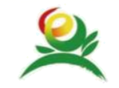 图片_x0020_100004