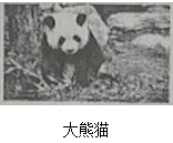 图片_x0020_100004