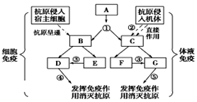 图片_x0020_358224186