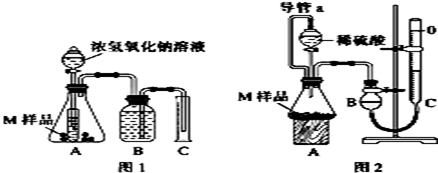 图片_x0020_1214092955