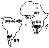 图片_x0020_1148236599