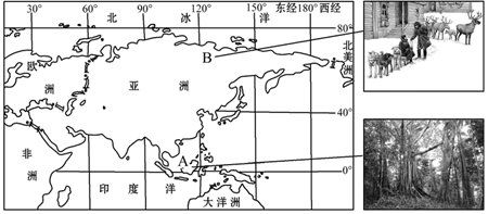 图片_x0020_100001