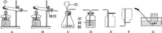 图片_x0020_824299522