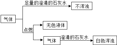 图片_x0020_1819726748