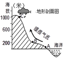 图片_x0020_1528167165
