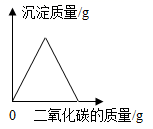 图片_x0020_100027