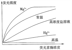 图片_x0020_1398303901