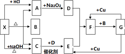 图片_x0020_1522391599