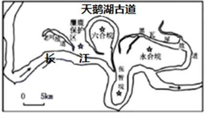 图片_x0020_783741773