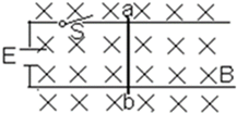 图片_x0020_100018