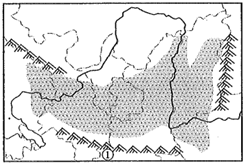 图片_x0020_100006