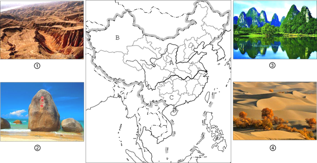 图片_x0020_100016