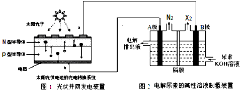 图片_x0020_1164925601