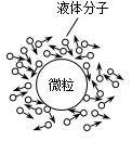 图片_x0020_1287044534