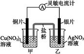 图片_x0020_1952365593