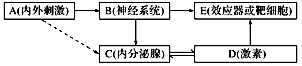 图片_x0020_100013