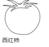 图片_x0020_371134444