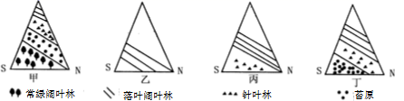 图片_x0020_100015