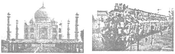 图片_x0020_611539445
