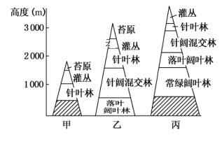图片_x0020_100010