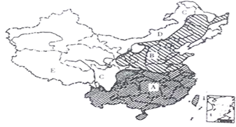 图片_x0020_100003