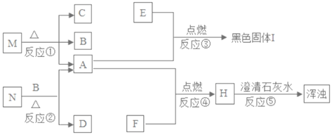 图片_x0020_1538504183