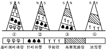 图片_x0020_1234918960