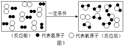 图片_x0020_1360578894