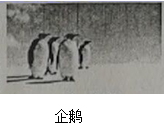 图片_x0020_100003