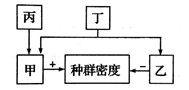 图片_x0020_1596999300