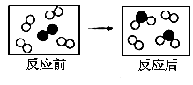 图片_x0020_1916537107