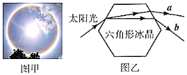 图片_x0020_608066915
