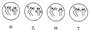 图片_x0020_2108254620