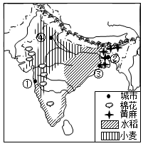 图片_x0020_48328904