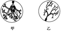 图片_x0020_100005