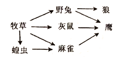 图片_x0020_100020
